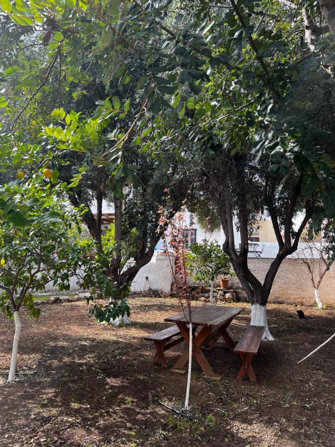 Maison d'hôtes Two Olive Trees à Spetses Town Extérieur photo