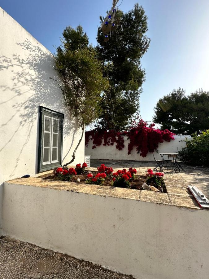 Maison d'hôtes Two Olive Trees à Spetses Town Extérieur photo
