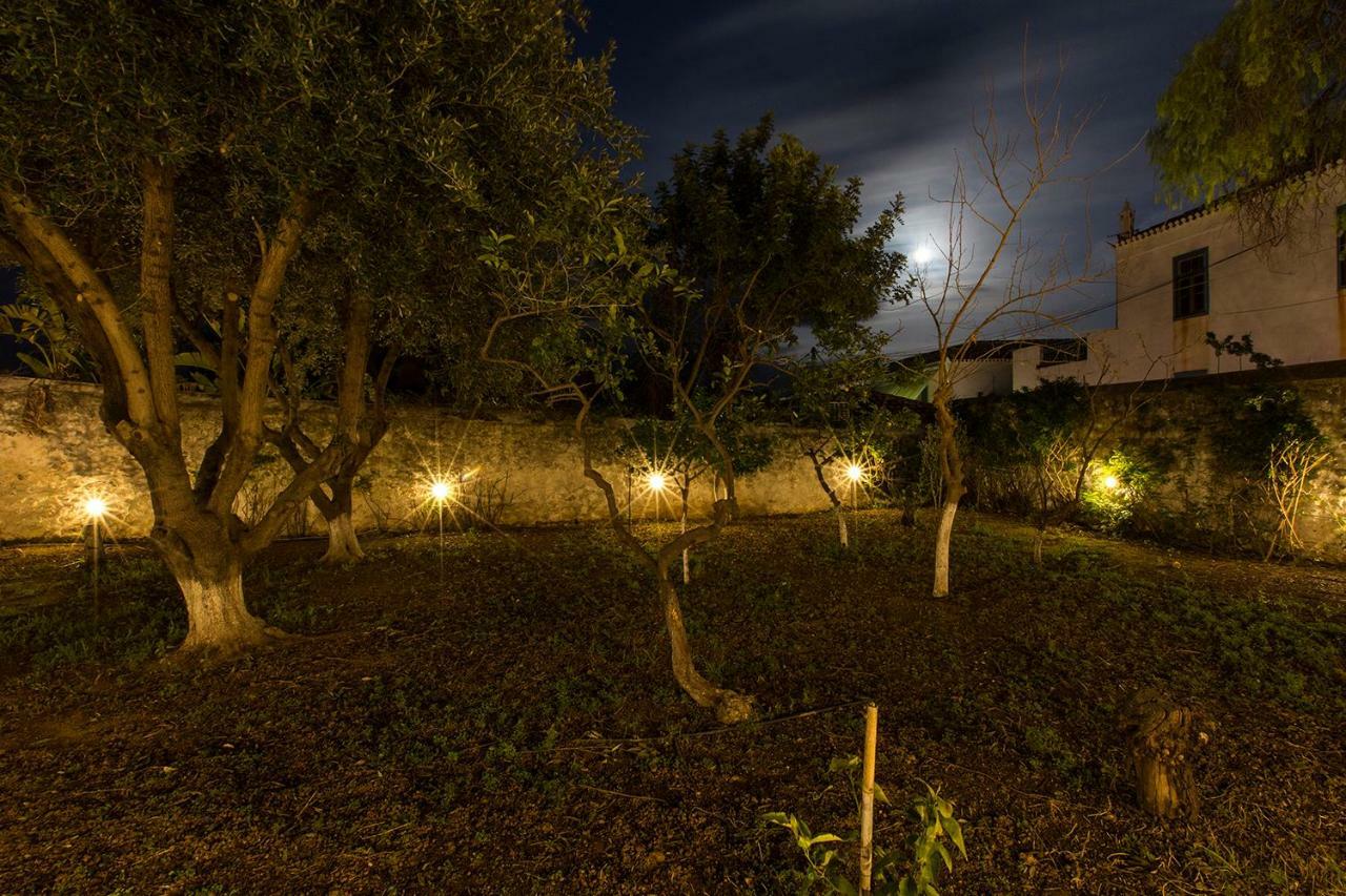 Maison d'hôtes Two Olive Trees à Spetses Town Extérieur photo